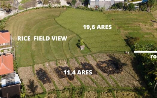 Pererenan Land Investment Opportunity