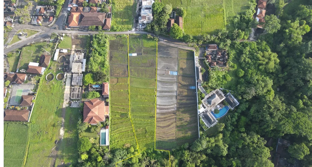 Buwit land 1