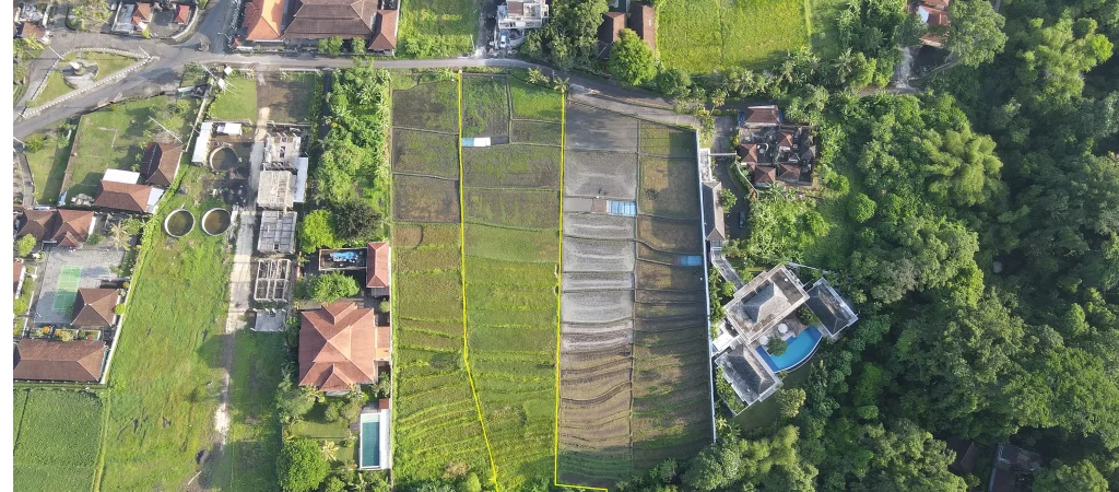 Buwit land 1