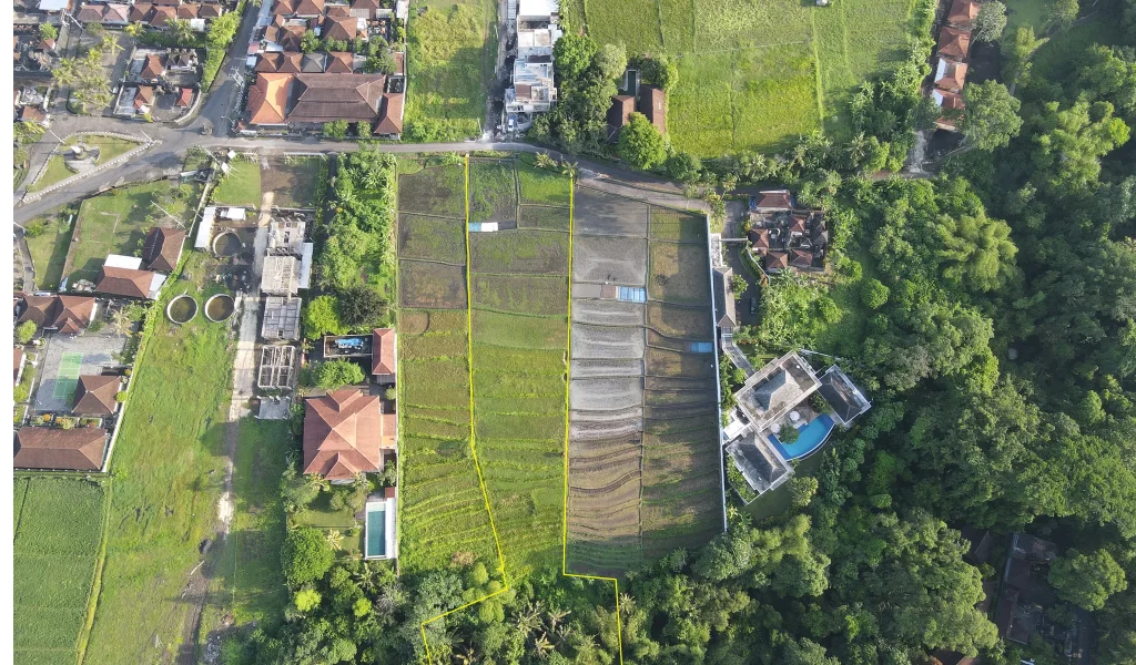 Buwit land 1
