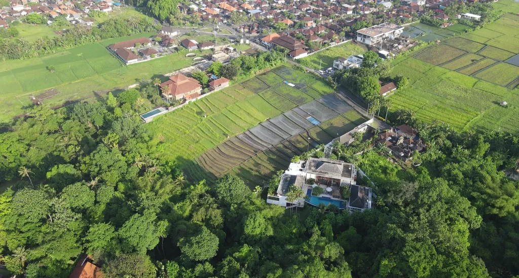 Buwit land 3