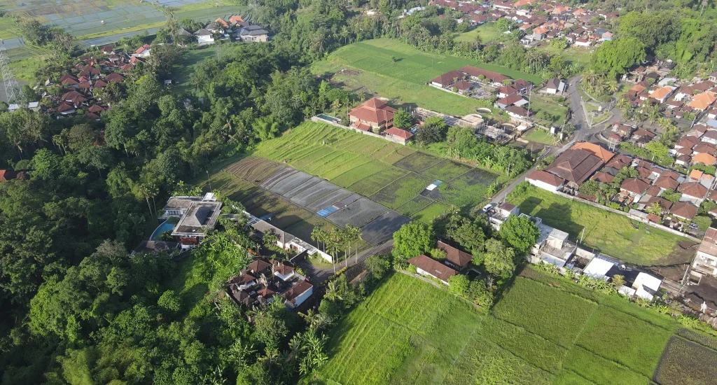 Buwit land 5