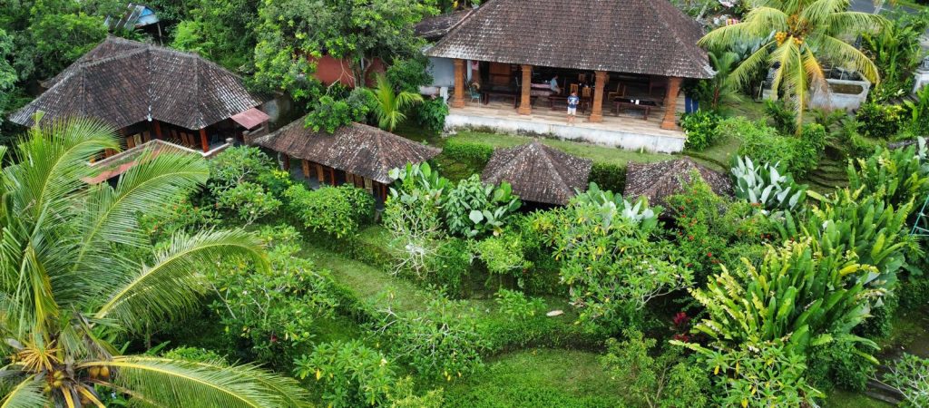 Rice Terraces 6