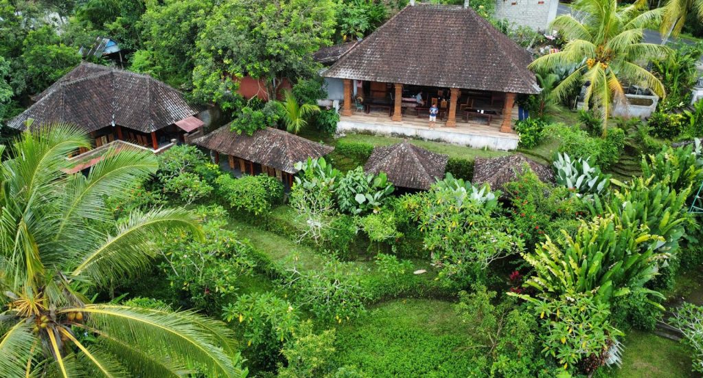 Rice Terraces 6