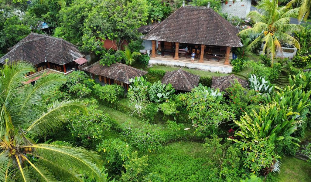 Rice Terraces 6