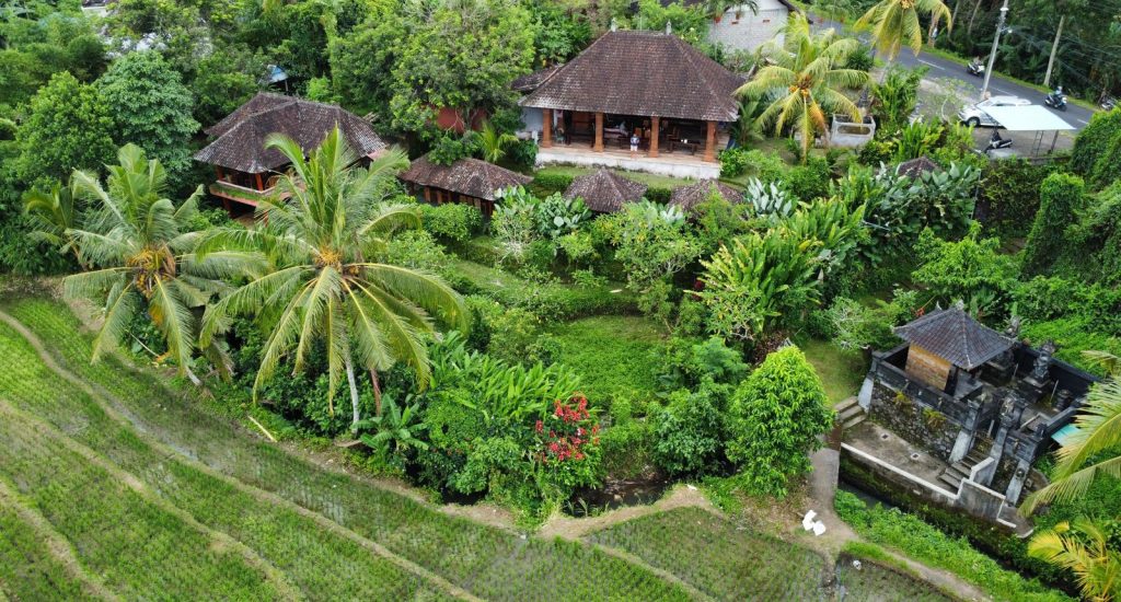 Rice Terraces 7