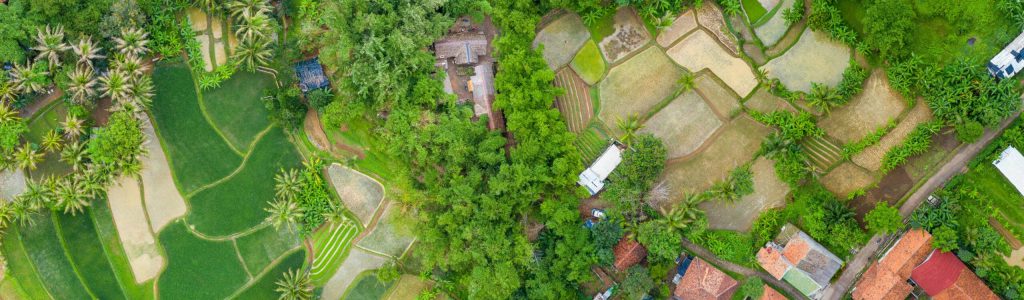 Bali Land Rice fields in Bali