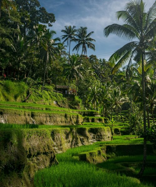 land